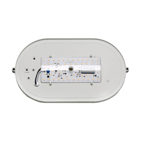 LED Oval Bulk Head Fixture - White Finish With White Glass